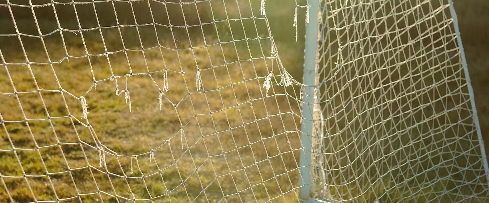 安博体育体育APP下载